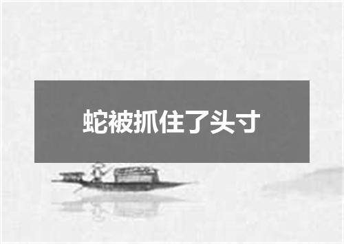 蛇被抓住了头寸