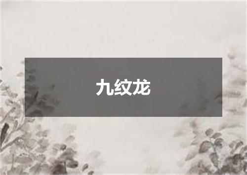 九纹龙