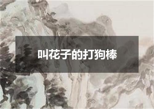 叫花子的打狗棒