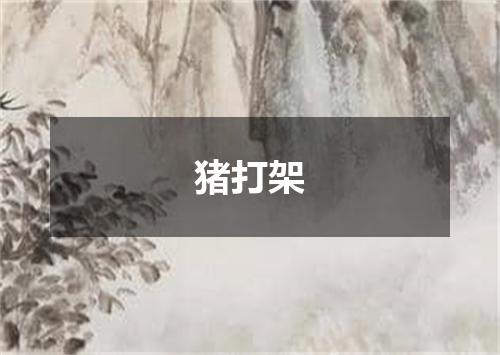 猪打架