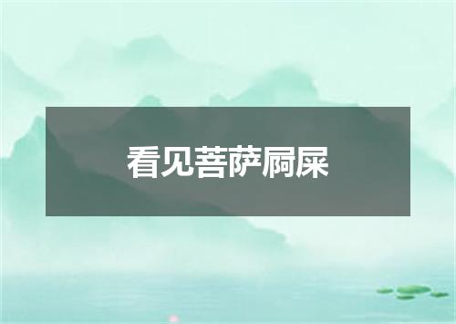 看见菩萨屙屎