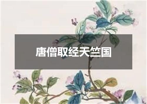 唐僧取经天竺国