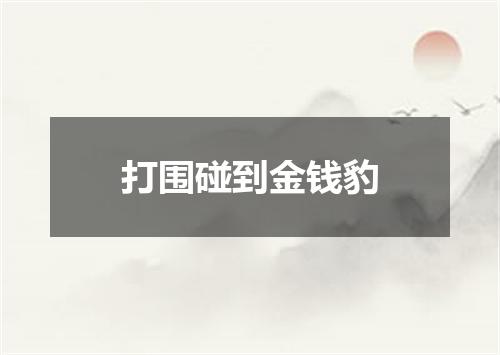 打围碰到金钱豹