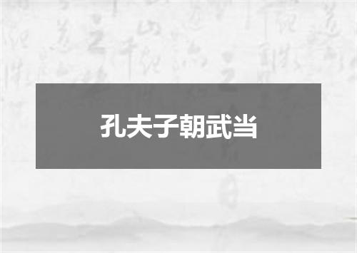 孔夫子朝武当