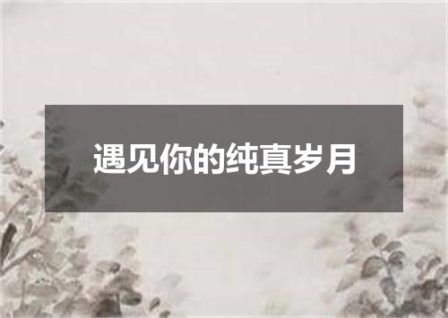 遇见你的纯真岁月