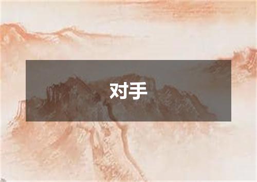 对手