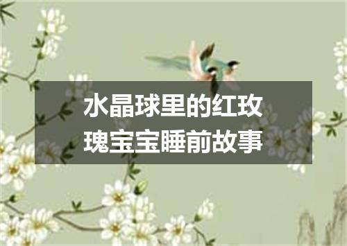 水晶球里的红玫瑰宝宝睡前故事