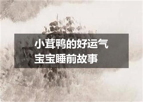 小茸鸭的好运气宝宝睡前故事